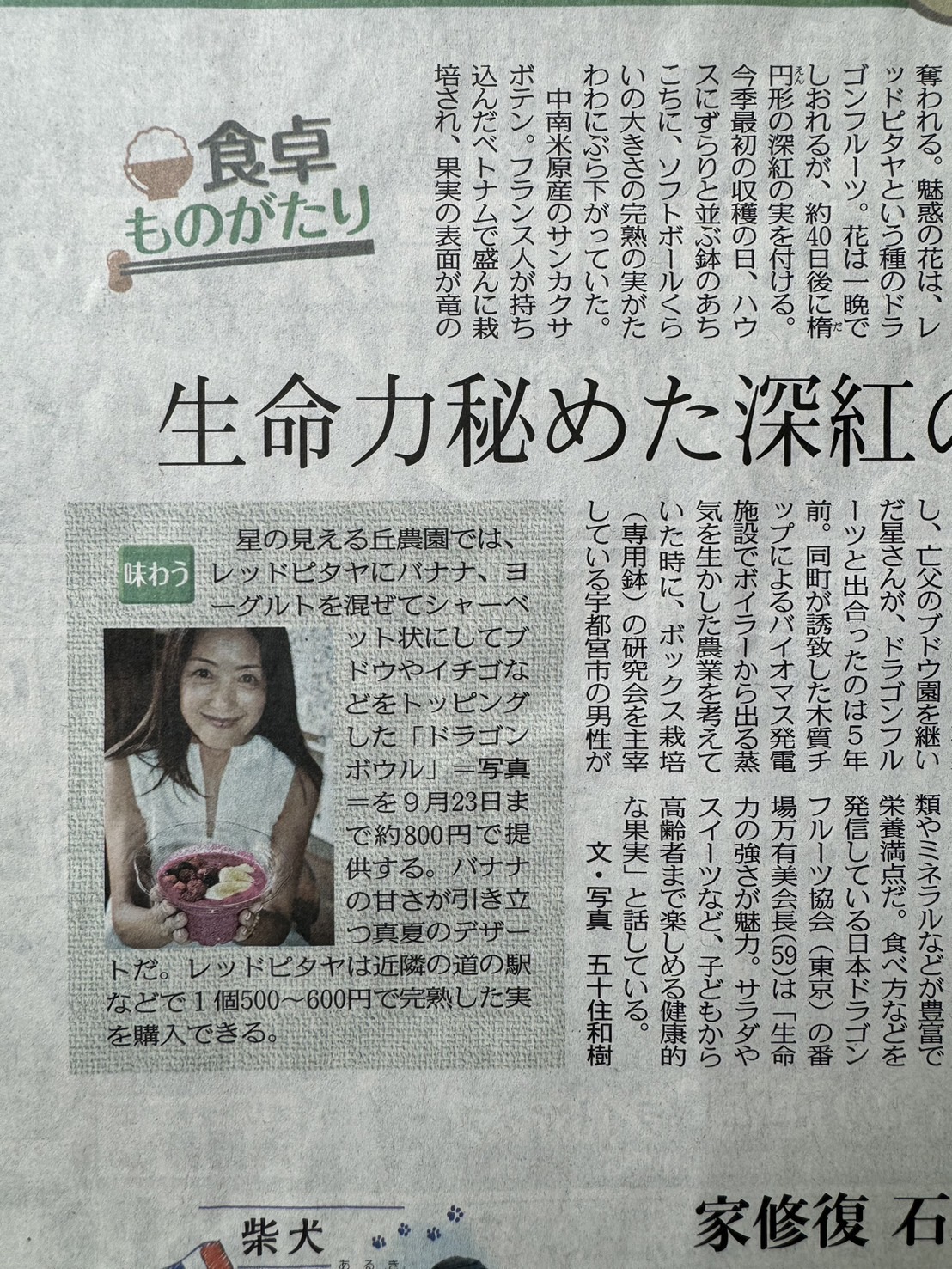 今朝の東京新聞（6.8.31）にて取材内容を掲載していただきました